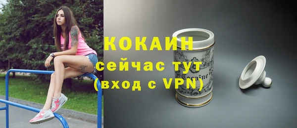 бошки Новодвинск