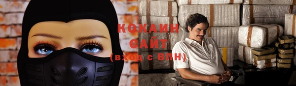 стафф Новокубанск