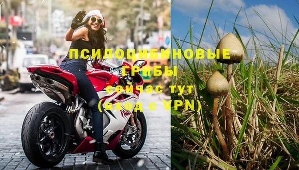 стафф Новокубанск
