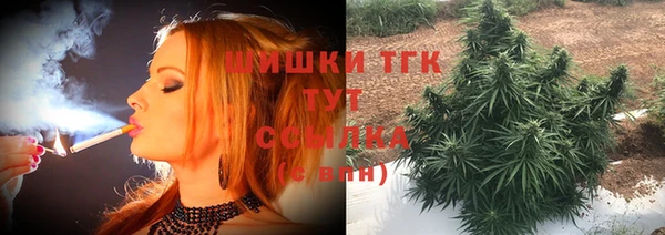 СК Няндома